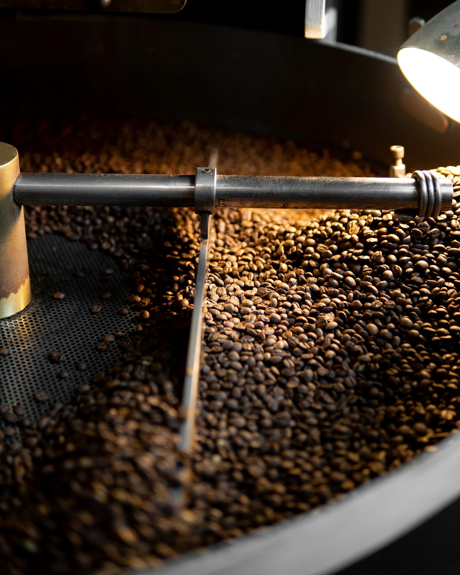 TERRA coffee menu — specialty coffee selection with origin notes